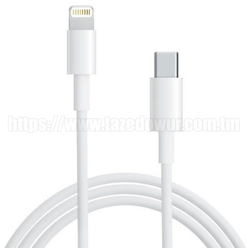 Зарядное устройство TREQA C to IOS Fast 20W